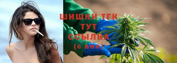 СК Бикин