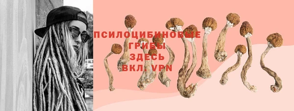 эйфоретик Билибино