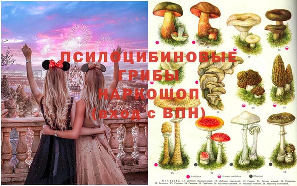 прущий лед Магас