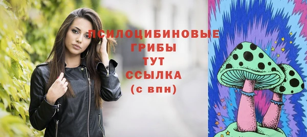 ПСИЛОЦИБИНОВЫЕ ГРИБЫ Магадан