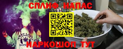 ECSTASY Камышлов