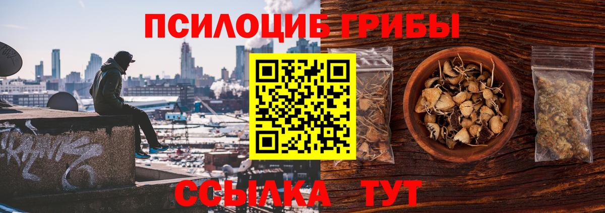 Галлюциногенные грибы мицелий Топки